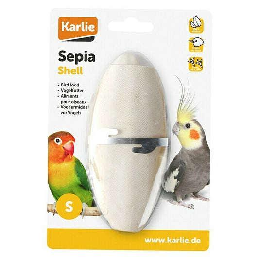 KARLIE - Sepia shell - S - osso di seppia