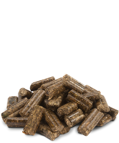 VERSELE-LAGA - Crispy pellets rabbit - alimento per conigli nani