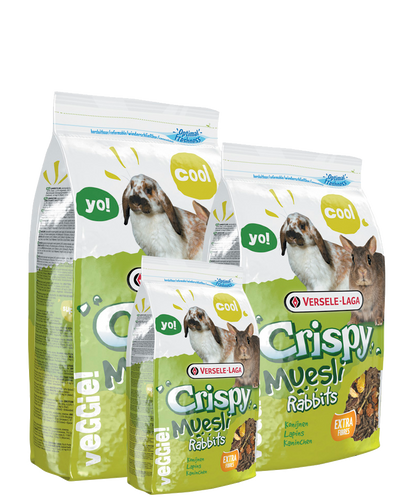 VERSELE-LAGA - Crispy muesly rabbits - alimento per conigli nani