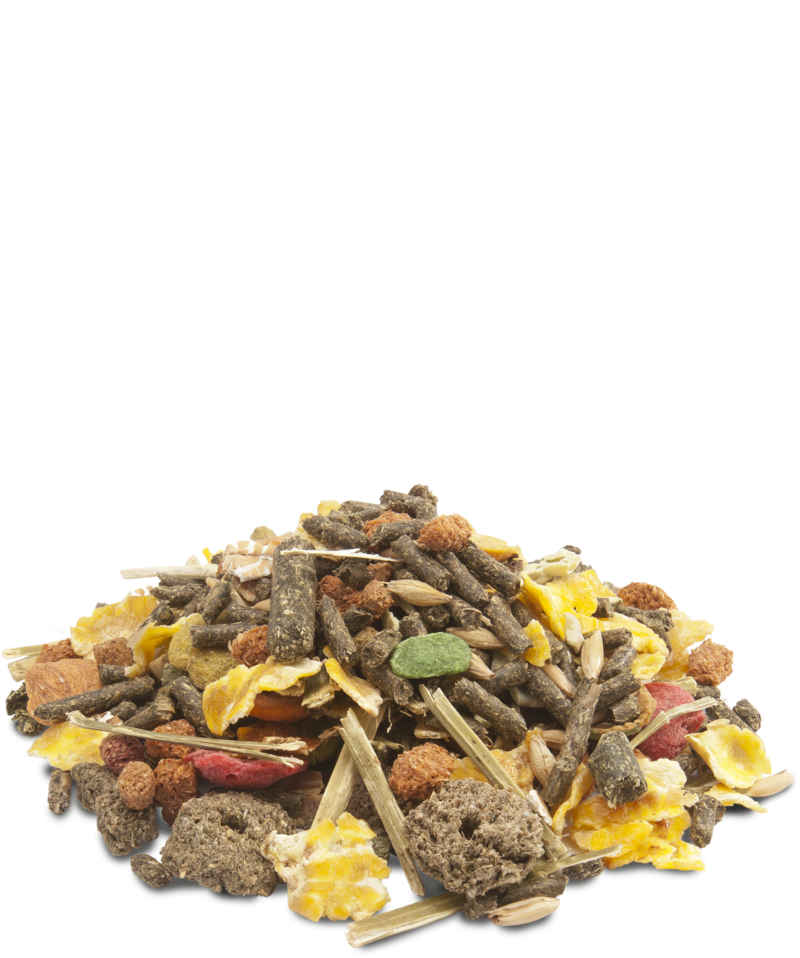 VERSELE-LAGA - Crispy muesly rabbits - alimento per conigli nani