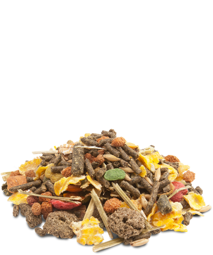 VERSELE-LAGA - Crispy muesly rabbits - alimento per conigli nani