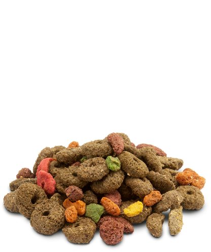 VERSELE-LAGA - Crispy snack fibres - Snack saporito e ricco di fibre: per conigli, porcellini d'India, cincillà, degù