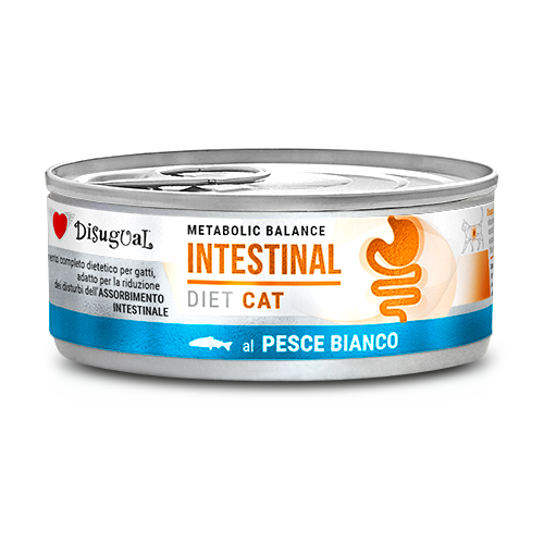 DISUGUAL - Metabolic Balance CAT INTESTINAL - Alimento completo dietetico per gatti
