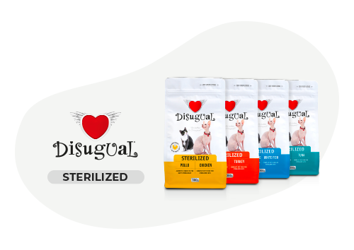 Disugual sterilizzato pollo crocchette gatto