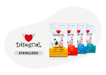 Disugual sterilizzato pollo crocchette gatto