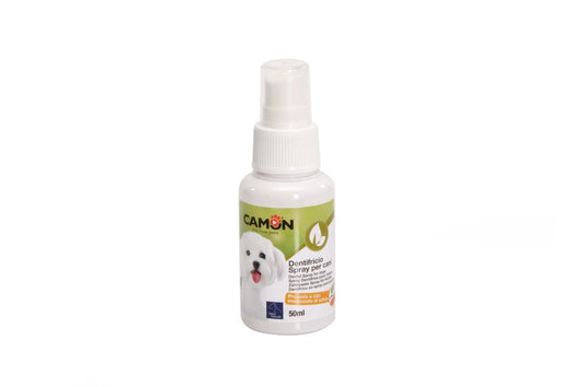 Dentifricio spray
