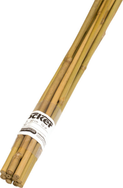 Reggipiante in bambù 60 cm - 4590