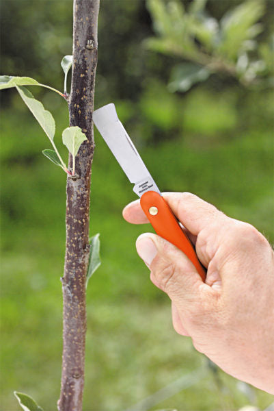 Coltello da innesto 55 - 785