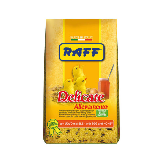 RAFF delicate allevamento