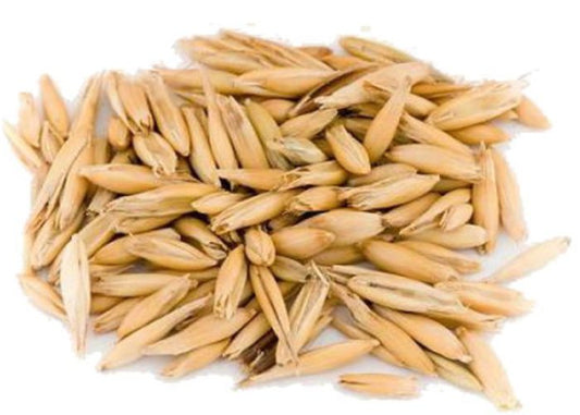Orzo