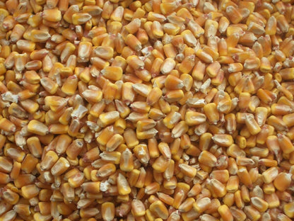 Mais - Granturco