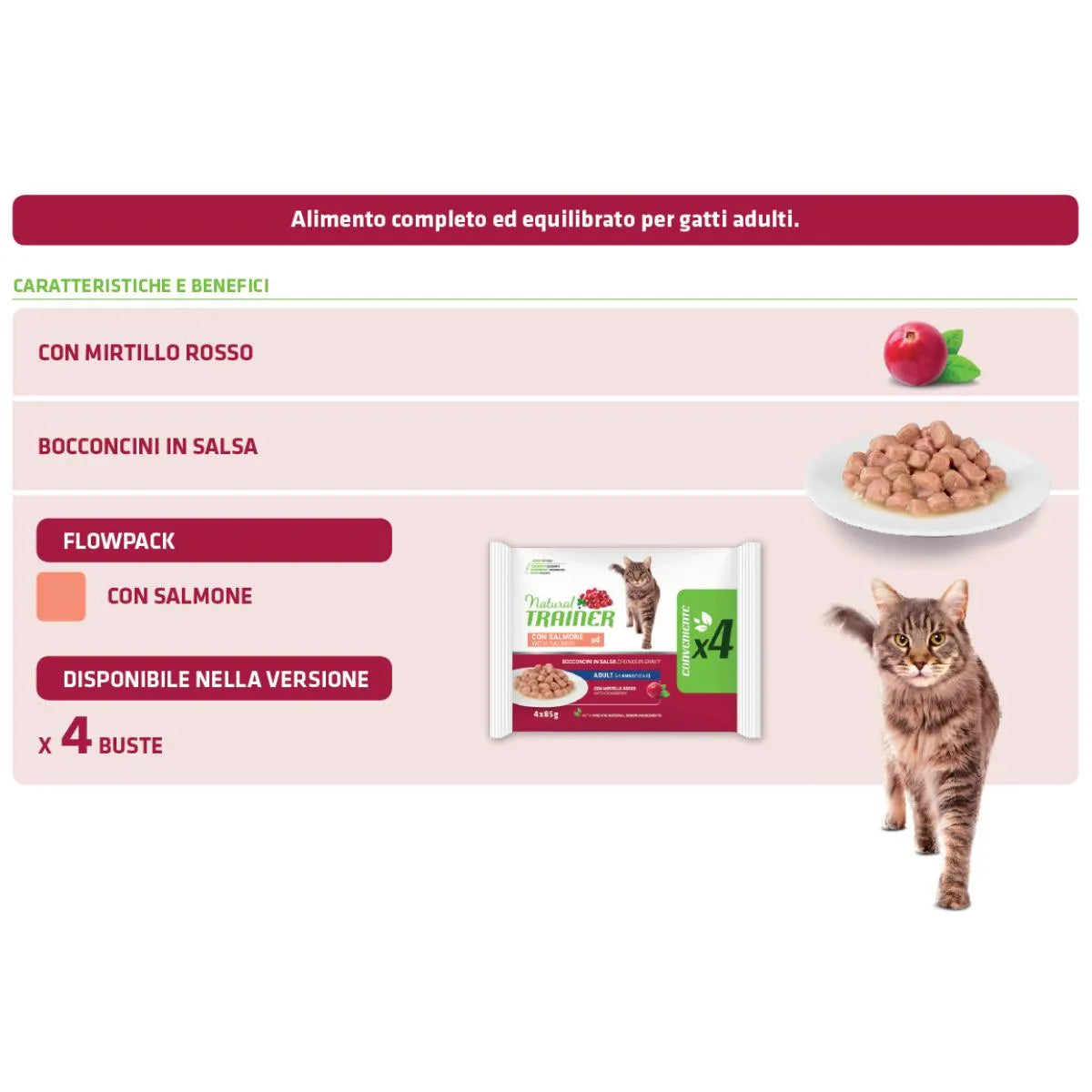 NATURAL TRAINER - Adult con bocconcini di SALMONE in salsa - 4x85g
