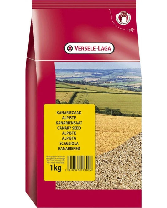 Scagliola | Versele Laga