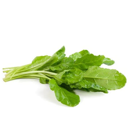 BIETOLA DA COSTE liscia verde da taglio