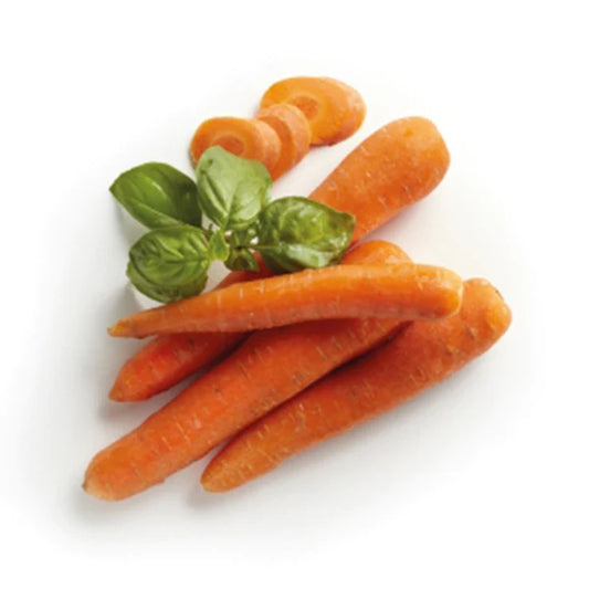 CAROTA Berlicum 2