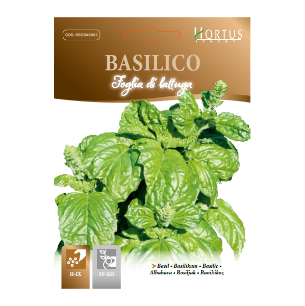 BASILICO foglia di lattuga