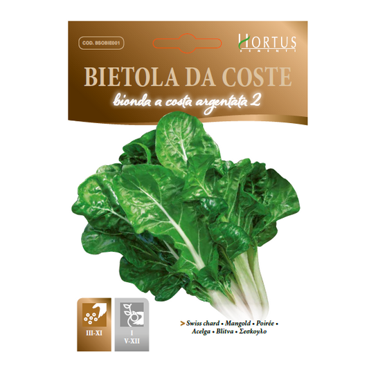 BIETOLA DA COSTE verde a costa larga argentata 2