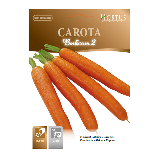 CAROTA Berlicum 2