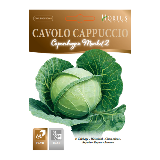 CAVOLO CAPPUCCIO Copenhagen market 2