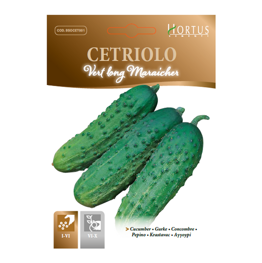 CETRIOLO Vert long Maraicher