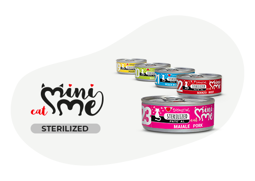DISUGUAL - 85 g - Alimento umido per gatti sterilizzati MINI ME