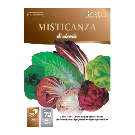 MISTICANZA di CICORIE