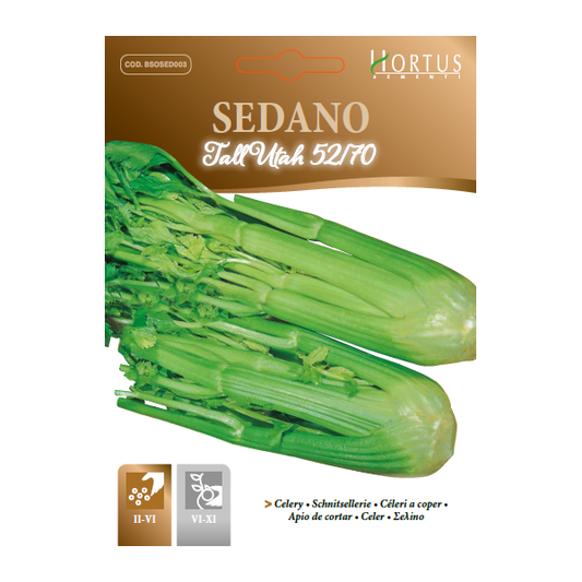 SEDANO Tall Utah 25/70