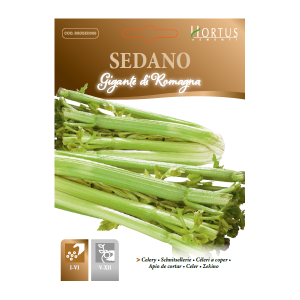 SEDANO Gigante di Romagna