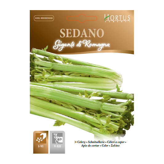 SEDANO Gigante di Romagna