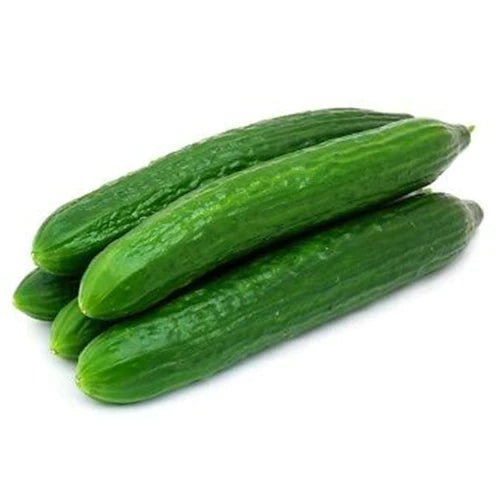 CETRIOLO Marketmore