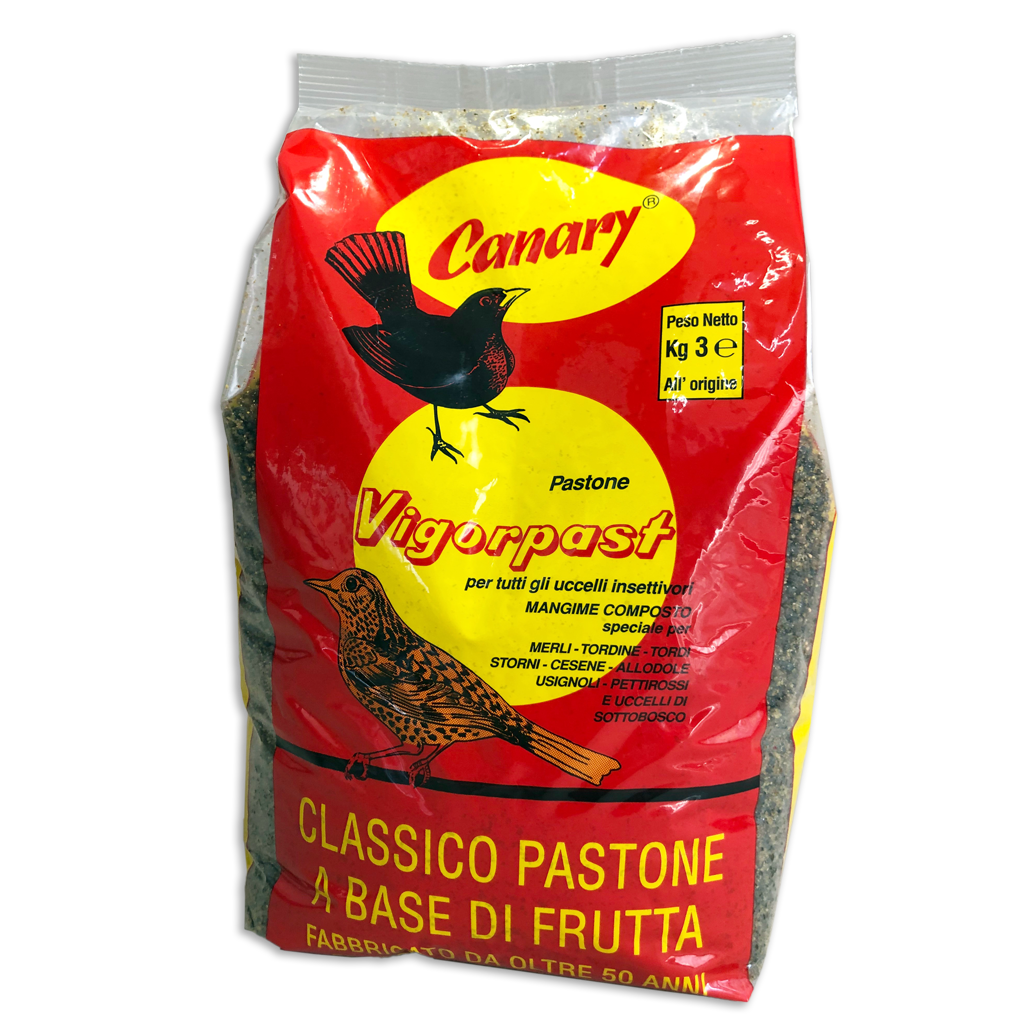 Pastone Vigorpast classico a base di frutta