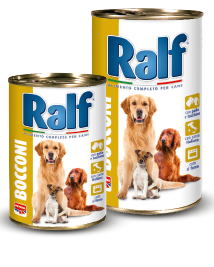 RALF - Bocconi