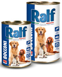 RALF - Bocconi