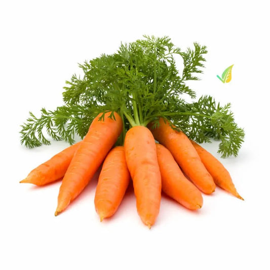 Carota