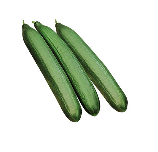 Cetriolo digeribile