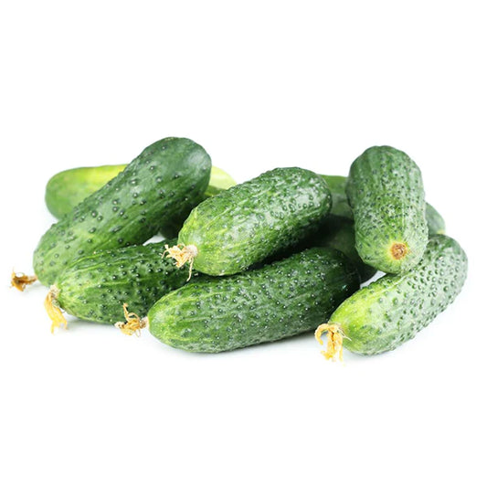 CETRIOLINO Piccolo verde di Parigi