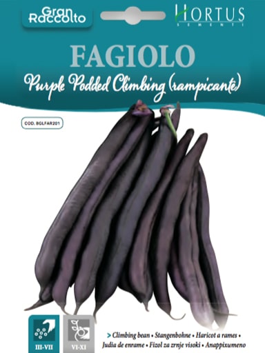 FAGIOLO Purple Podded Climbing (RAMPICANTE)