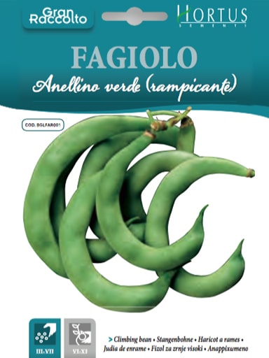 FAGIOLO Anellino Verde (RAMPICANTE)