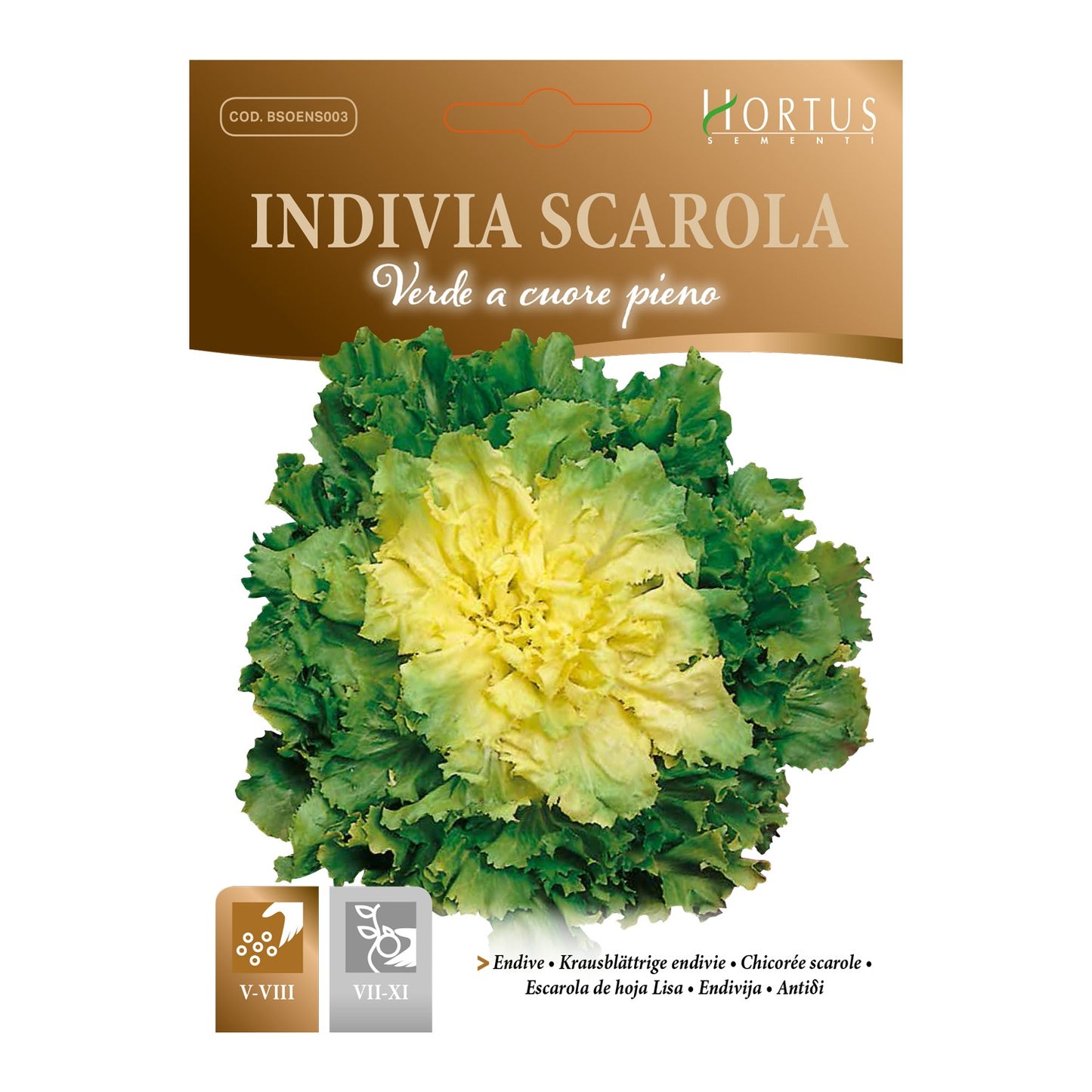 INDIVIA SCAROLA verde a cuore pieno