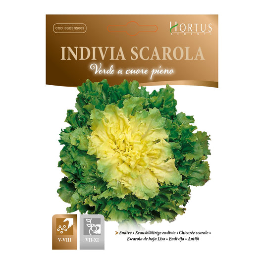 INDIVIA SCAROLA verde a cuore pieno