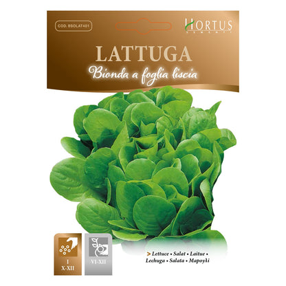 LATTUGA Bionda a foglia liscia