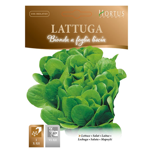 LATTUGA Bionda a foglia liscia
