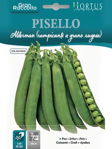 PISELLO Alberman (RAMPICANTE a grano rugoso)