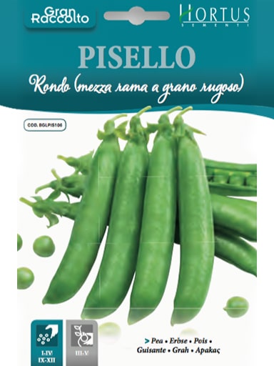 PISELLO Rondo (MEZZA RAMA a grano rugoso)