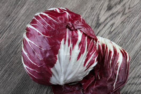 Radicchio di Chioggia precoce