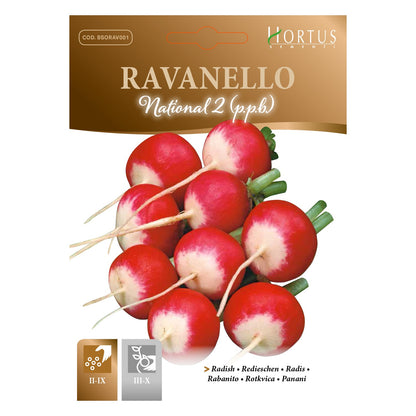 RAVANELLO National 2 (P.P.B.)