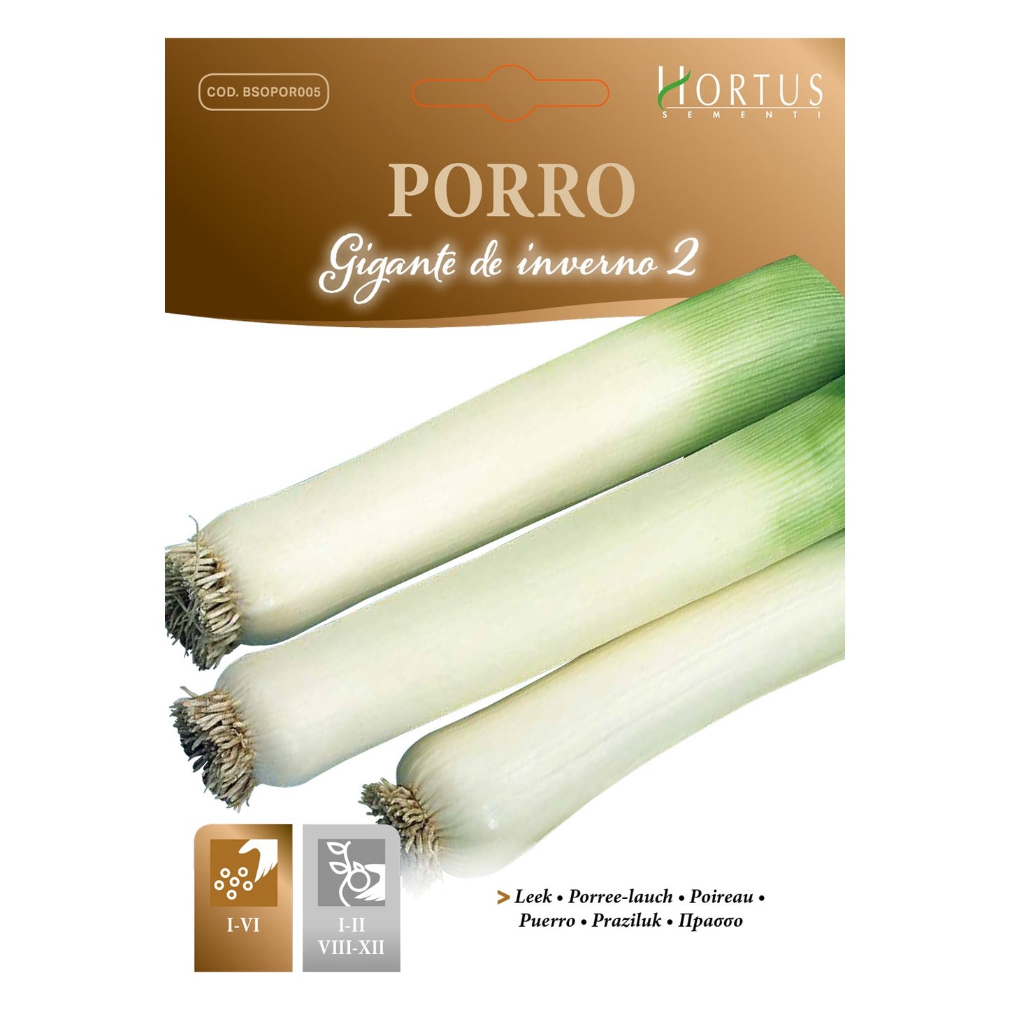 PORRO D'Hiver 2