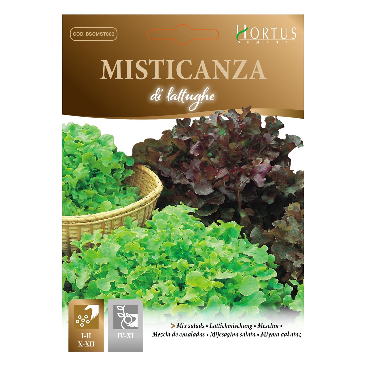MISTICANZA di LATTUGHE