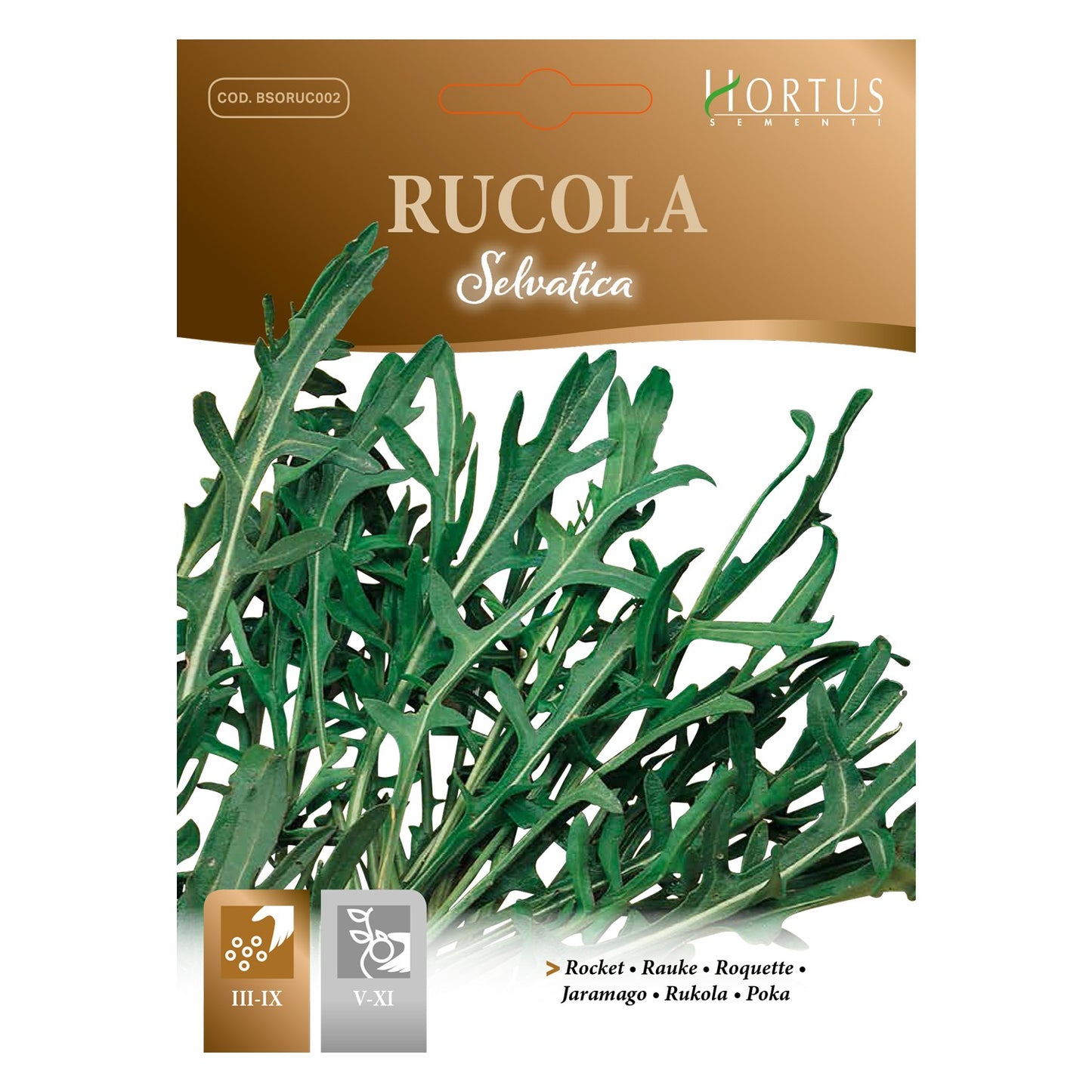 RUCOLA Selvatica