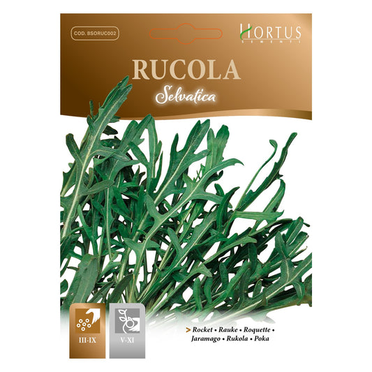 RUCOLA Selvatica